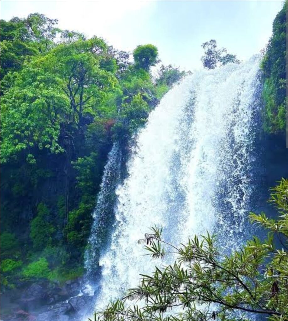 WhatsApp Image 2025 07 01 at 8.51.35 PM