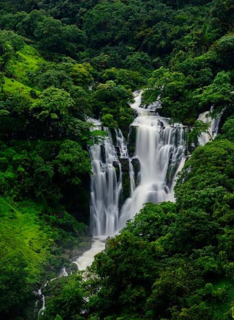 WhatsApp Image 2025 07 01 at 8.52.32 PM