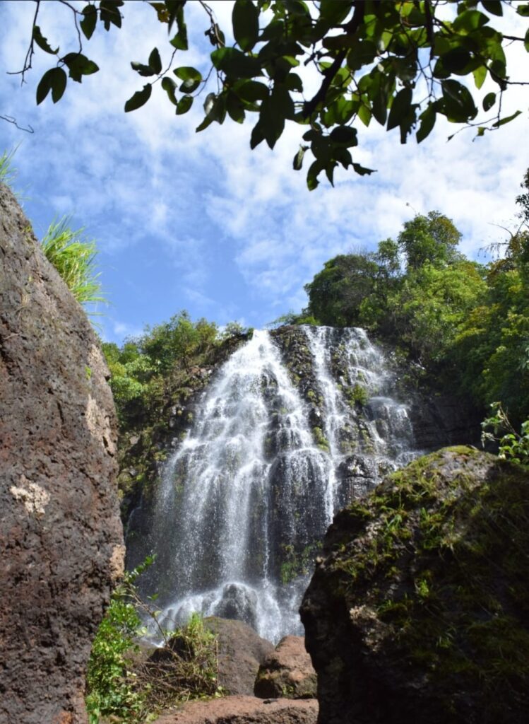 WhatsApp Image 2025 07 01 at 8.53.24 PM