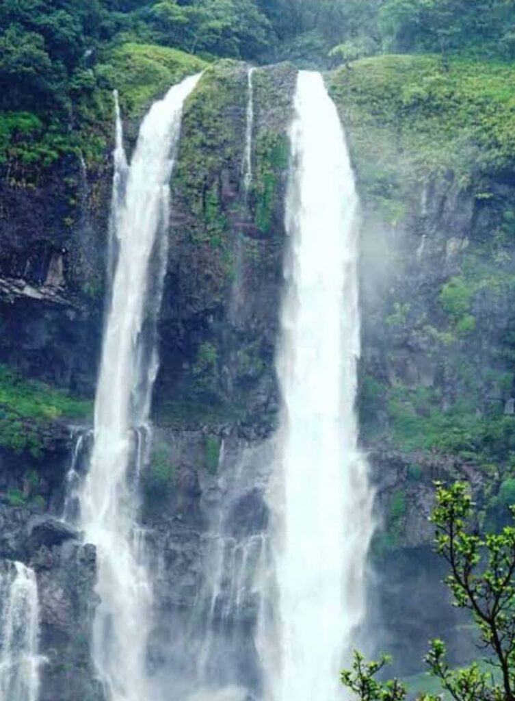 WhatsApp Image 2025 07 01 at 8.53.42 PM