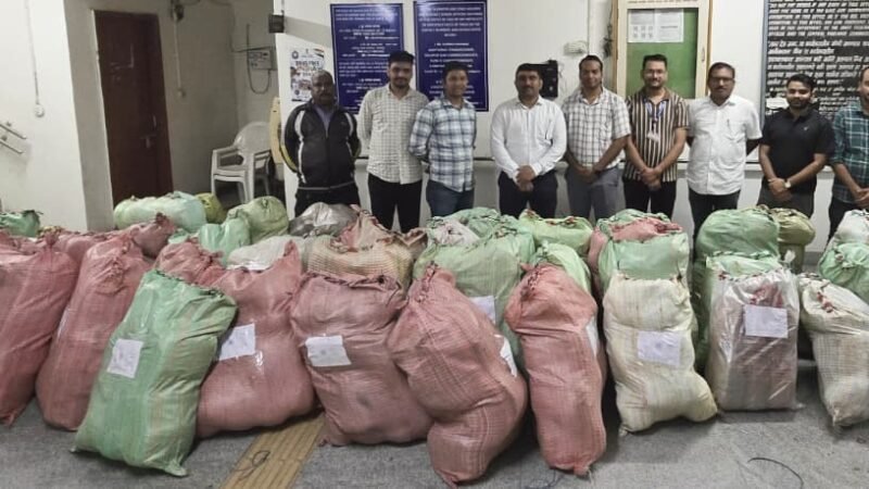 Ganja Smuggling Pune Solapur Highway: ६.५४ कोटींचा तब्बल १३०९ किलो गांजा सोलापुरात जप्त, पुणे कस्टम्सची धडक कारवाई !
