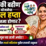 Ladki Bahin Yojana :जुलैचा हप्ता कधी जमा होणार? स्वातंत्र्यदिनाआधी की रक्षाबंधनाला मिळणार एकत्रित ₹३०००? जाणून घ्या ताजी अपडेट! Ladki Bahin Yojana Next Installment Date Update