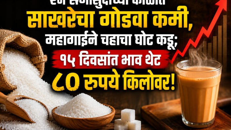 Sugar Price Hike News 2026: ऐन सणासुदीच्या काळात साखरेचा गोडवा कमी, महागाईने चहाचा घोट कडू; १५ दिवसांत भाव थेट ८० रुपये किलोवर!