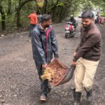 Mahabaleshwar News: सार्वजनिक बांधकाम विभाग 'गांधारीच्या' भूमिकेत; ग्रामपंचायत, वनसमिती अन् पोलिसांनी बुजवले क्षेत्र महाबळेश्वरमधील खड्डे! Kshetra Mahabaleshwar Potholes Repaired By Police And Grampanchayat Team
