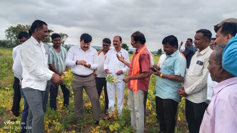 Satara Collector Santosh Patil वाघ्या घेवड्याचा पीकविम्यात समावेश करण्यासाठी शासनाकडे प्रस्ताव पाठविणार : जिल्हाधिकारी संतोष पाटील 2 Satara Collector Santosh Patil वाघ्या घेवड्याचा पीकविम्यात समावेश करण्यासाठी शासनाकडे प्रस्ताव पाठविणार : जिल्हाधिकारी संतोष पाटील