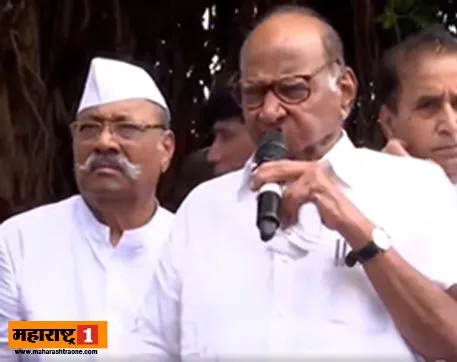 sharad pawar karad 1