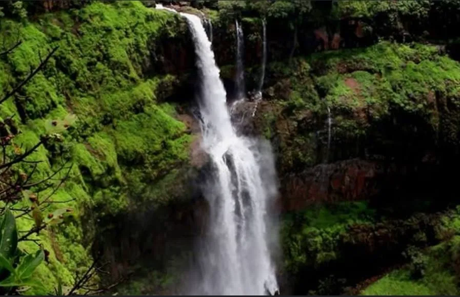 WhatsApp Image 2025 07 01 at 8.54.21 PM